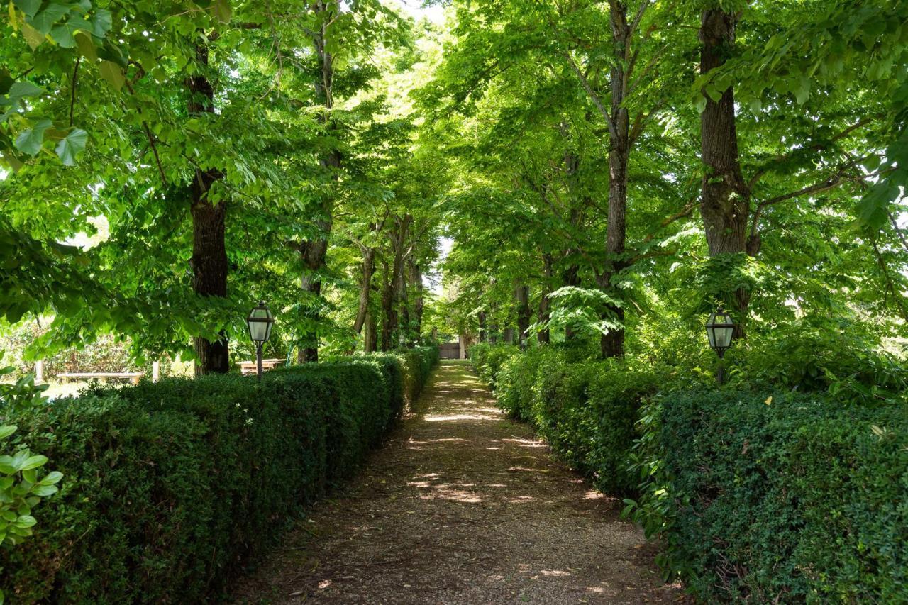 Villa Il Rossignolo Grassina エクステリア 写真